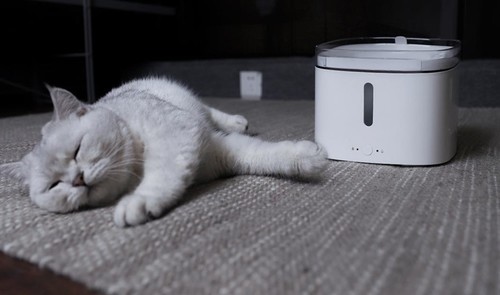 El ruido será mínimo, tu gato podrá seguir durmiendo plácidamente.