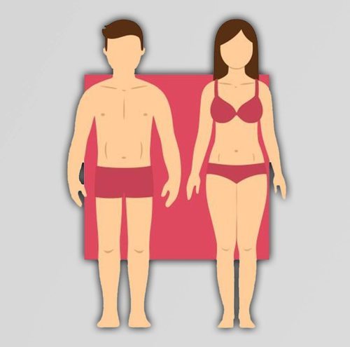 La dieta y ejercicio es muy importante en los cuerpos endoformos para evitar lesiones y enfermedades.